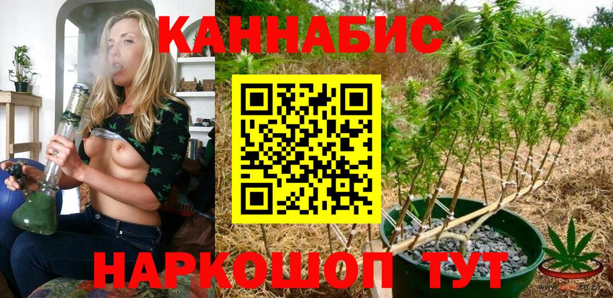 Бошки Шишки сатива  МАРИХУАНА ГИДРОПОН  Жуковский  Вход с VPN 